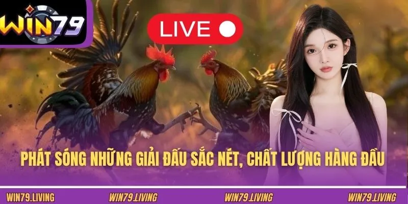 Phát sóng những giải đấu sắc nét, chất lượng hàng đầu