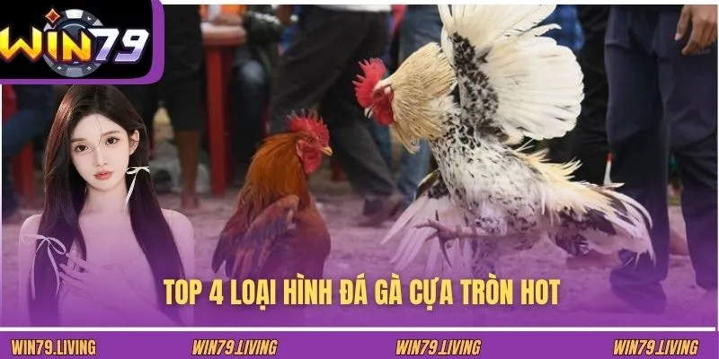 Top 4 loại hình đá gà cựa tròn hot