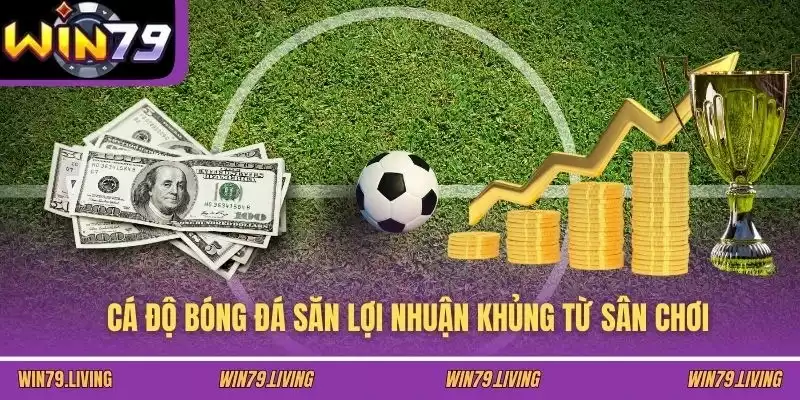 Cá độ bóng đá săn lợi nhuận khủng từ sân chơi