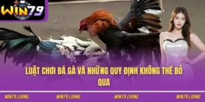 Luật Chơi Đá Gà Và Những Quy Định Không Thể Bỏ Qua