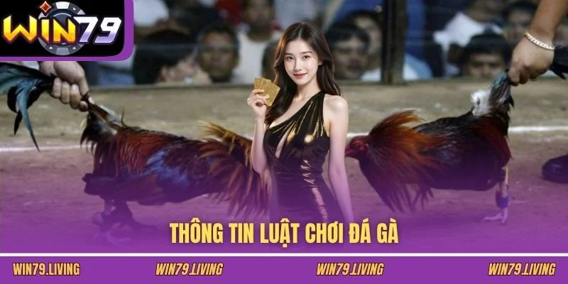 Thông tin luật chơi đá gà