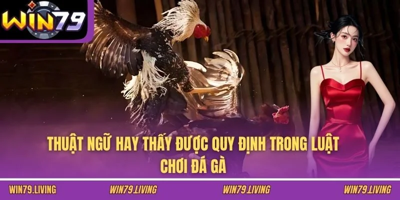 Thuật ngữ hay thấy được quy định trong luật chơi đá gà