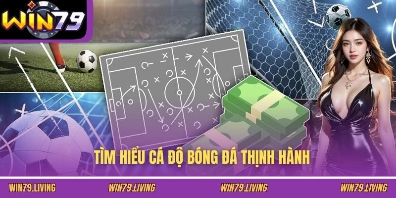 Tìm hiểu cá độ bóng đá thịnh hành
